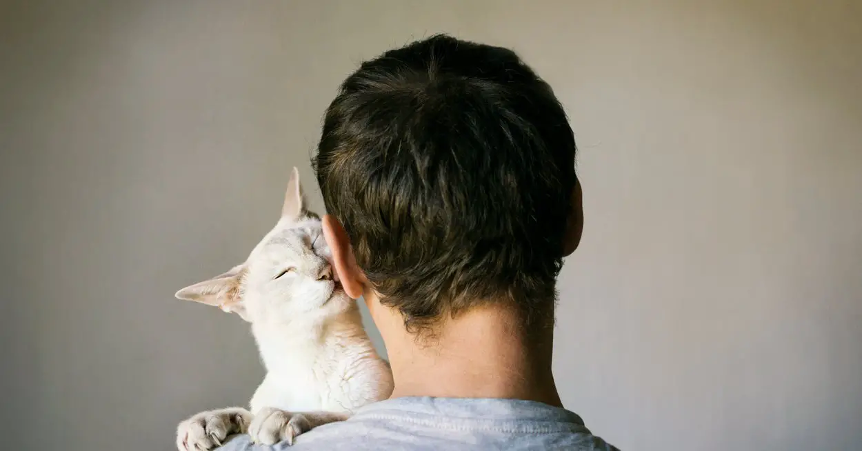 Say 'I Love You' To Your Cat In Their Language