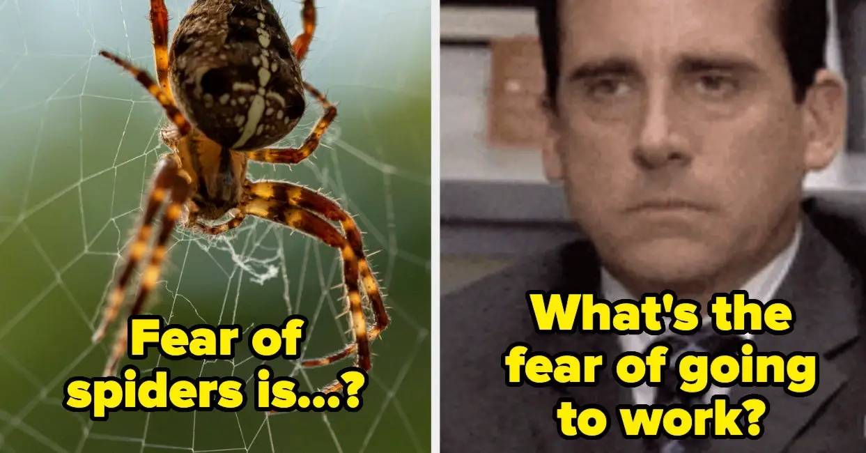 This Phobias Quiz Is All About The Biggest Fears, Let's See If You Know Them