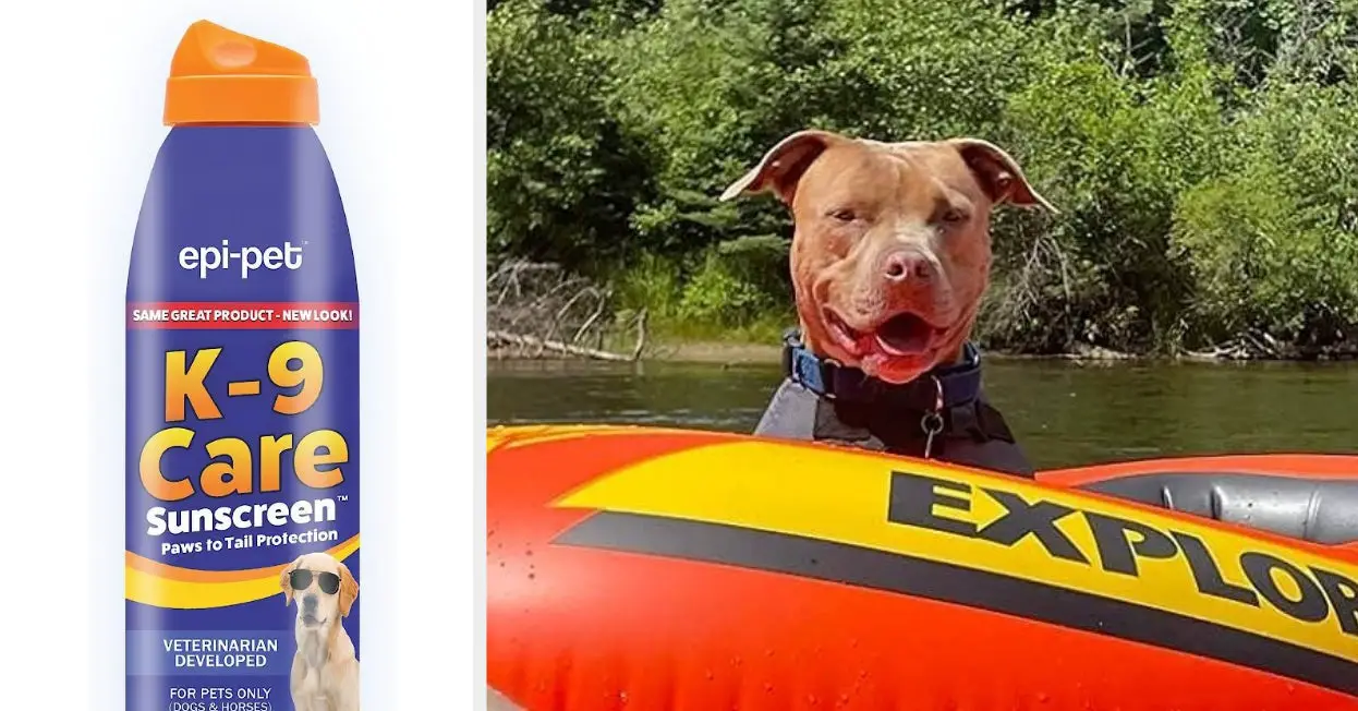 Yes, Your Dog Needs Sunscreen, Too. But Only 1 Brand Is FDA-Approved