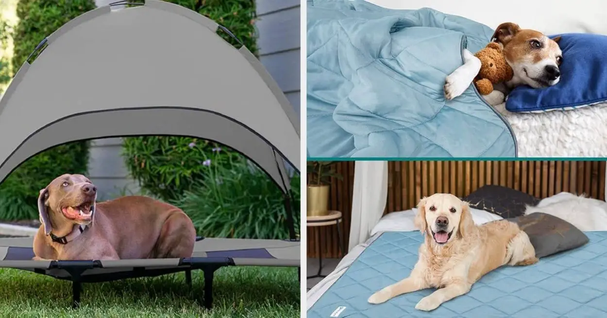 12 Cooling Pet Items That Have Great Reviews On Amazon