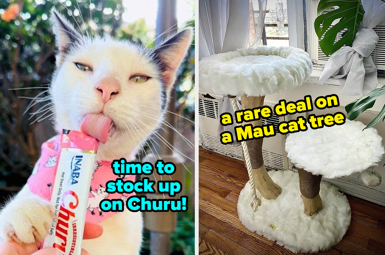 17 Best Prime Day Deals For Cat Owners