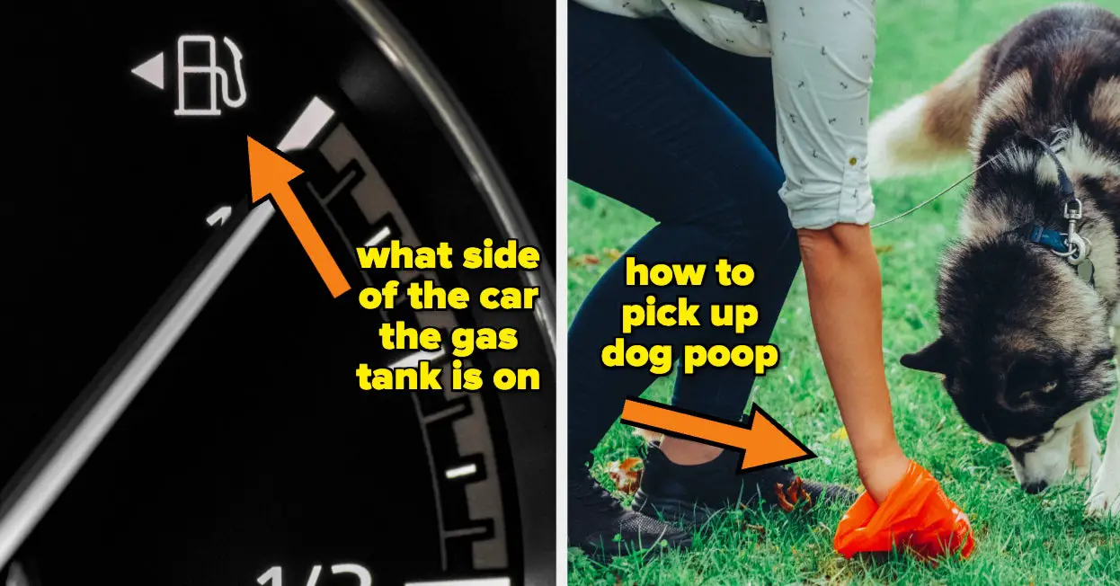 20 Times Adults Finally Learned Basic Facts