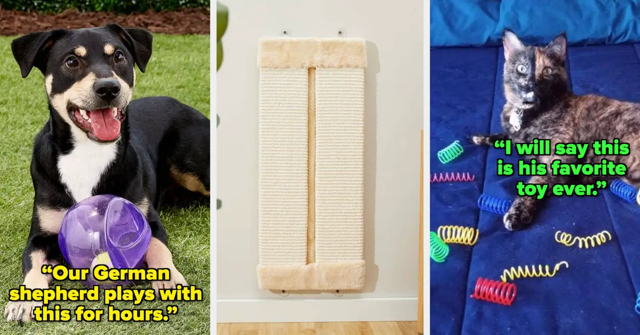 20 Toys From Chewy For Your Pet