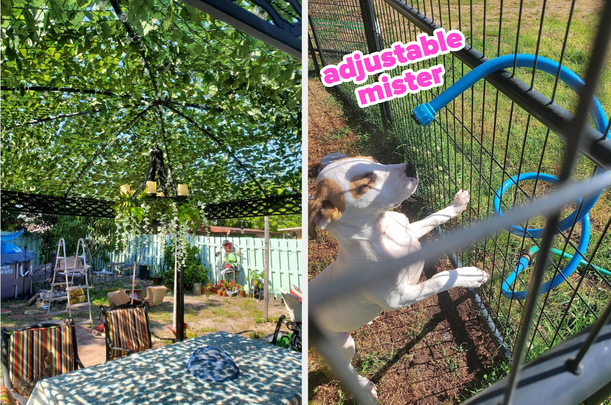 26 Things That'll Have You Spending Basically Every Hour Of The Day In Your Backyard