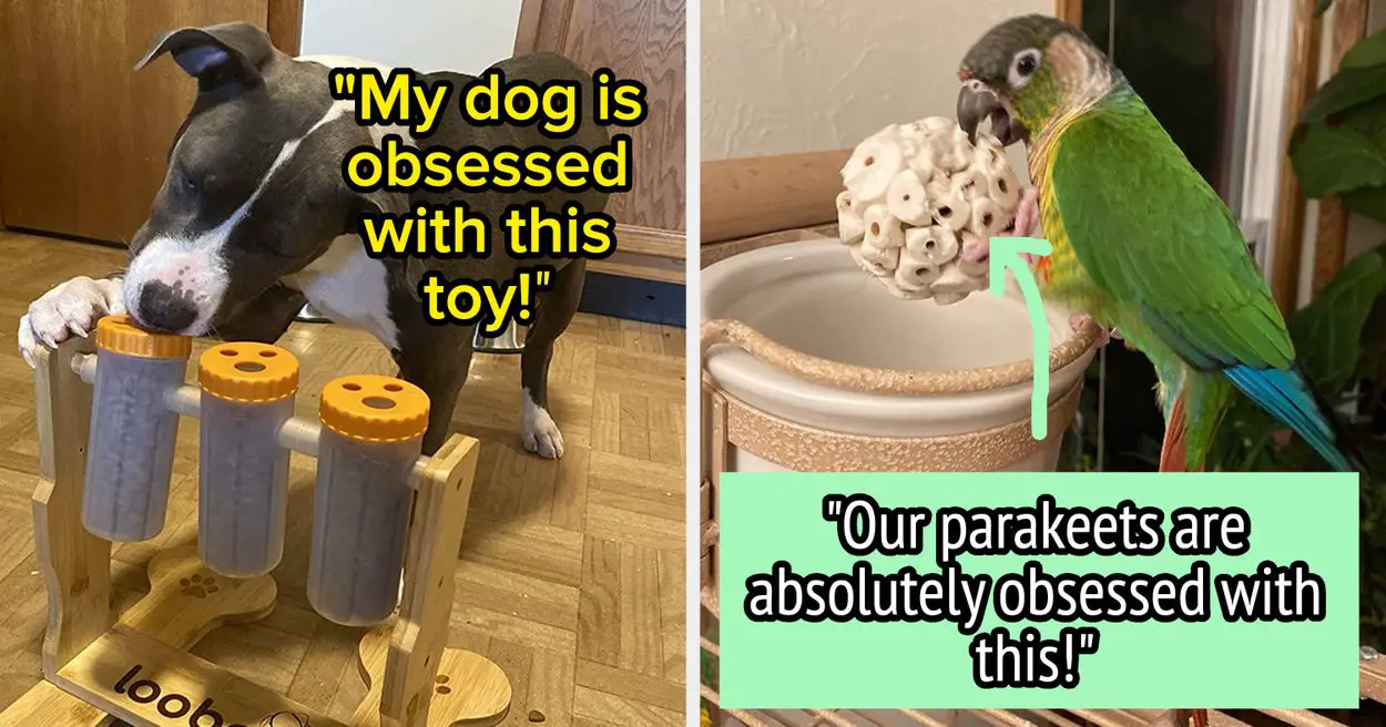 27 Products Pet Owners Or Their Pets Are Obsessed With