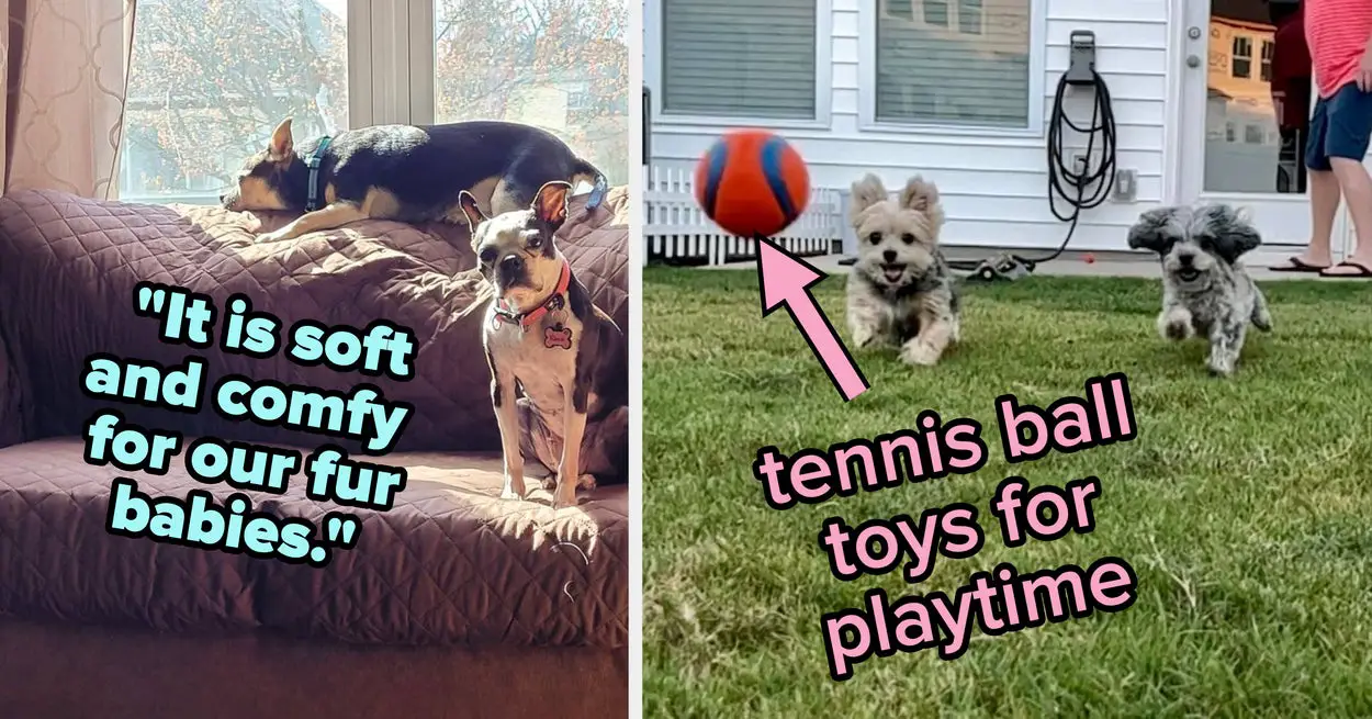 27 Useful Products If You Live With Two Or More Dogs