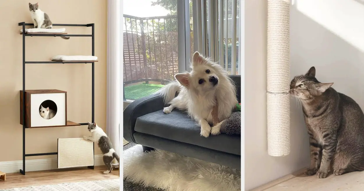 28 Aesthetically Pleasing Pet Products Reviewers Love
