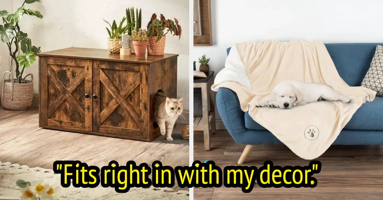 30 Wayfair Pet Items That'll Fit With Your Home Decor