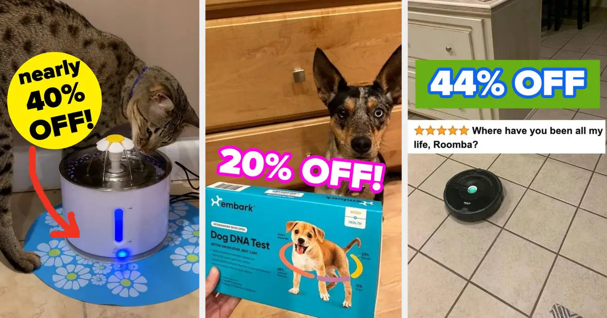 31 Best Pet Deals During Prime Day 2024
