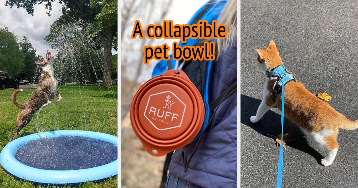 32 Products If You Want Your Pet To Have A Great Summer