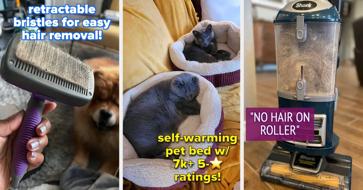 48 Pet Products That Are, In A Word, Reliable
