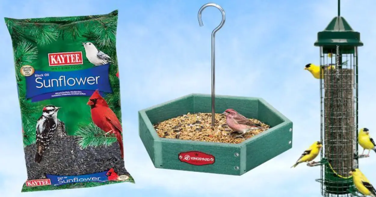 9 Products To Make Your Home More Bird-Friendly