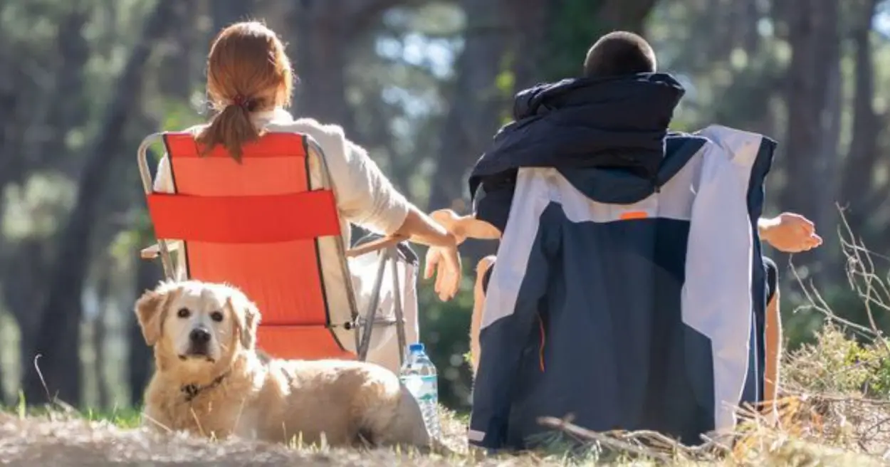 Everything You Need To Bring Your Dog Camping With You