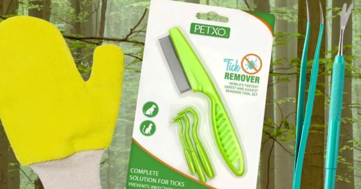 If You Spend Time Outdoors, You’ll Want A Tick Remover
