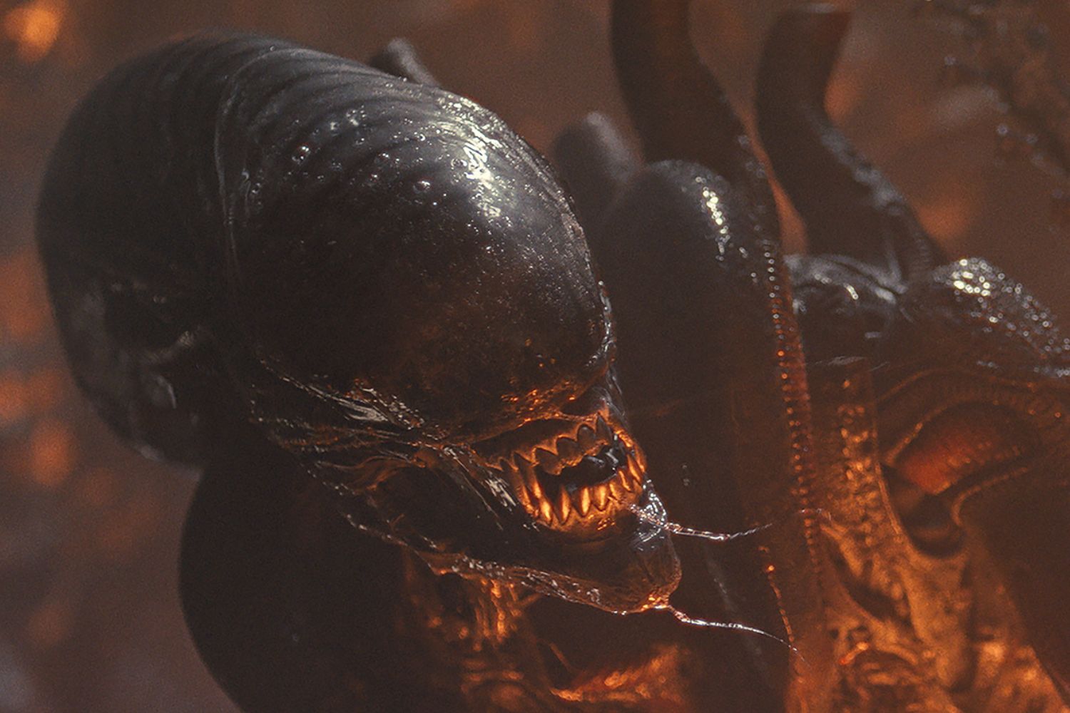 alien:-romulus-gives-birth-to-a-big-opening-weekend