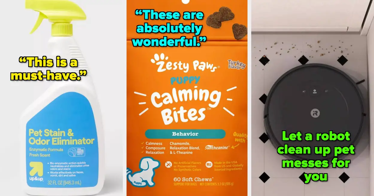 20 Target Products For Your Pet's Routine