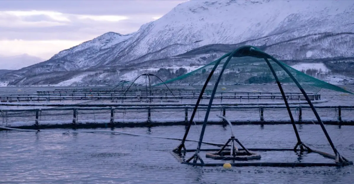 alphabet-x’s-latest-spinout-brings-computer-vision-and-ai-to-salmon-farms