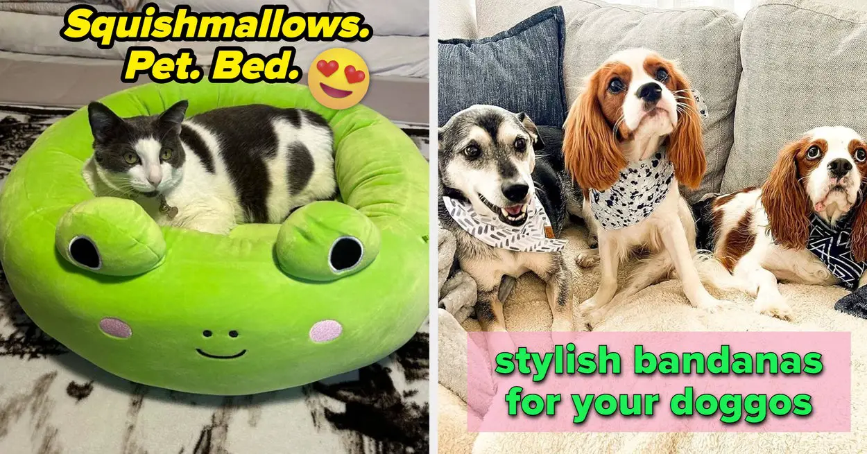 27 Pet Products Your Furry Friend Will Love