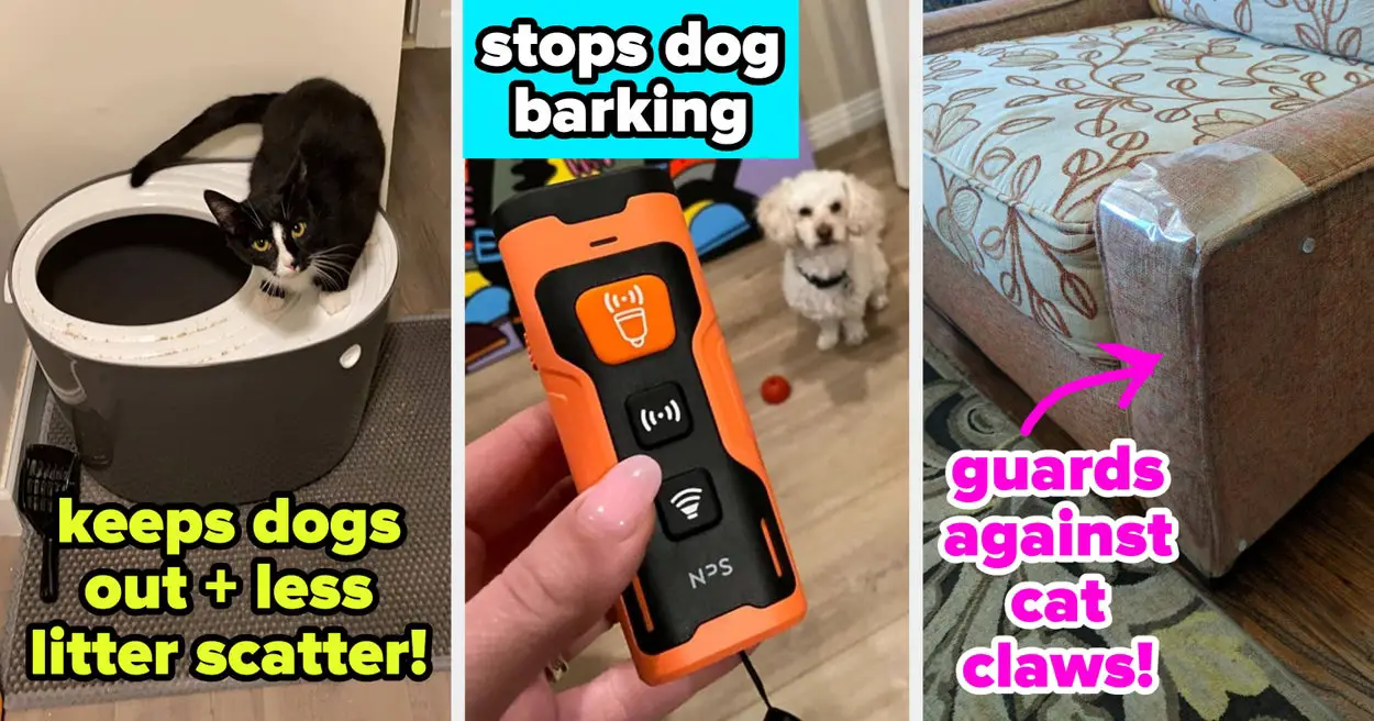 31 Pet Products For Chewing, Scratching, And More