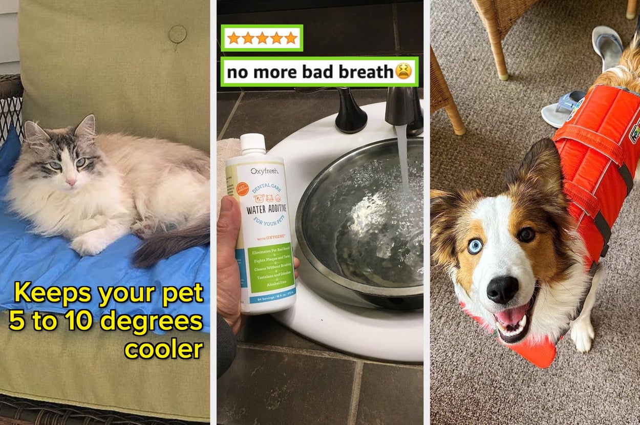 32 Pet Products That Reviewers Say Are "Lifesavers"