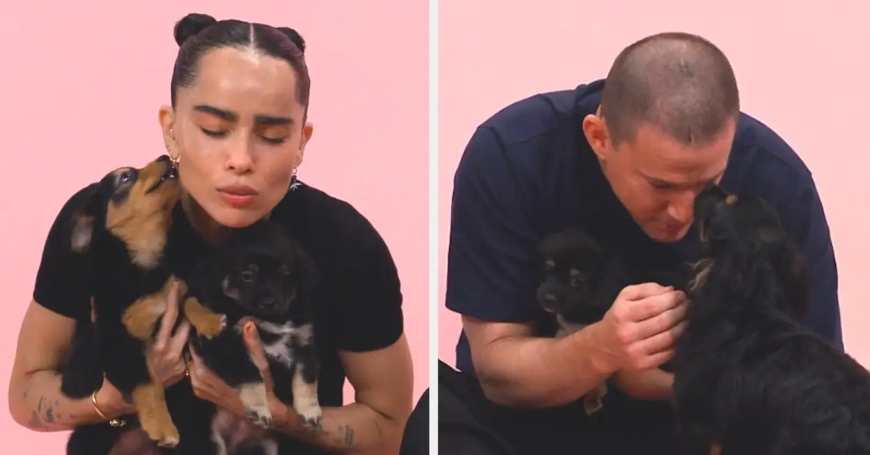 Blink Twice's Zoë Kravitz, Channing Tatum Puppy Interview