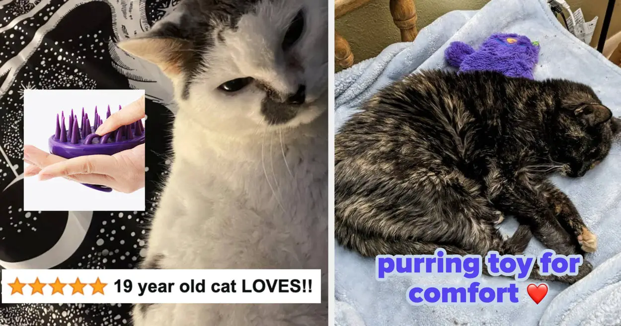 Just 27 Things That Your Elderly Cat Will Thank You For Buying