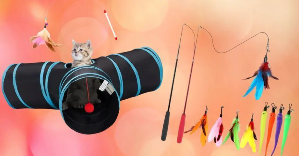 13 Highly Rated Cat Toys (and Treats) On Amazon