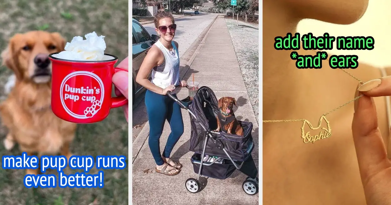 25 Items If "Dog Owner" Is Your Main Personality Trait