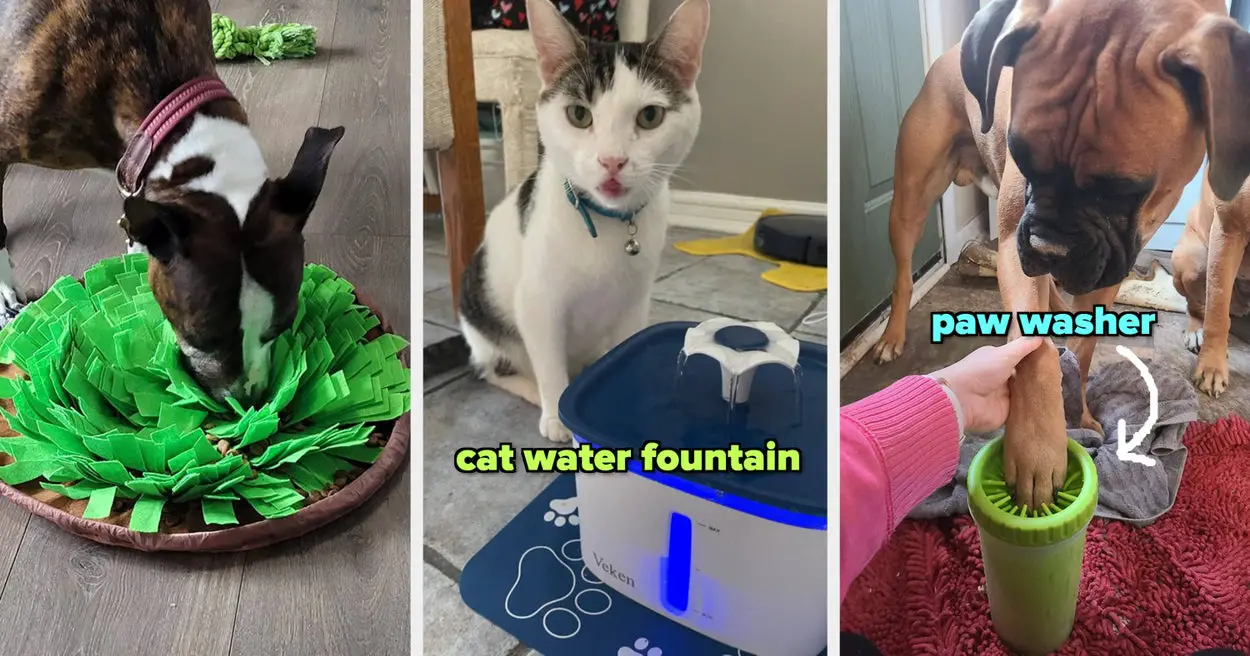 31 Genius Pet Products That Are Worth Buying