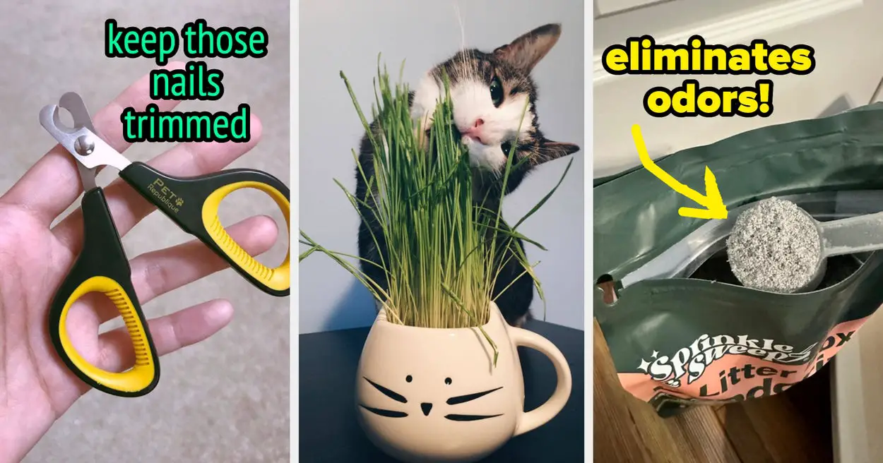 34 Products To Address All The Annoying Parts Of Living With A Cat And Make Your Life *Way* Easier