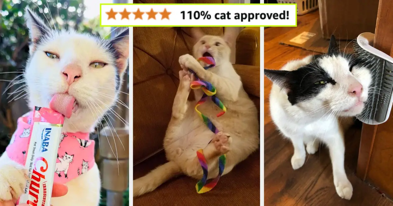 39 Cat Products You Just Need To Own