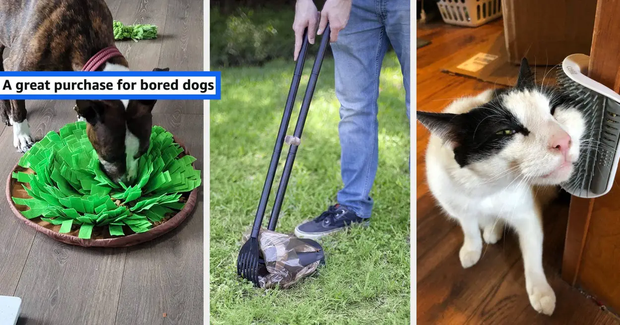 40 Products Under $50 Pet Owners Will Be Grateful To Own