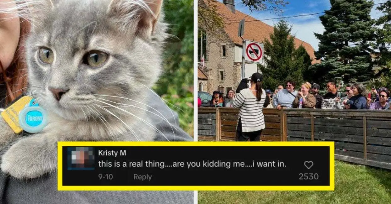 Cat Tour Goes Viral On TikTok