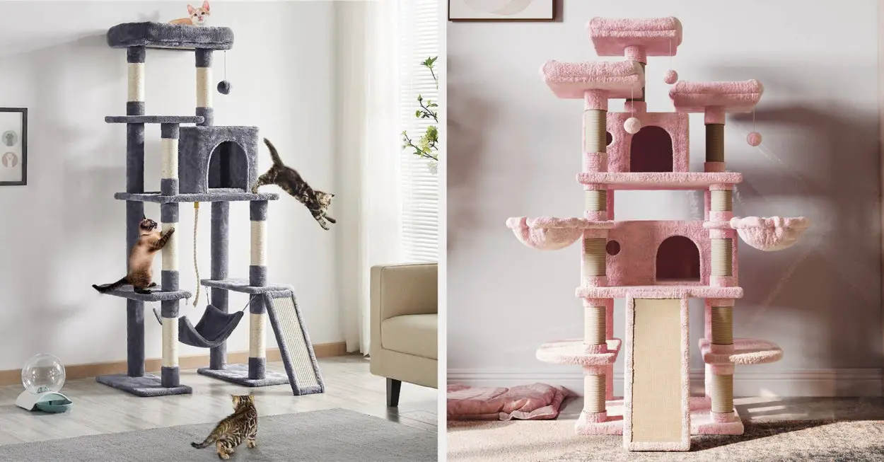 Cat Trees Are Important For Cats' Well-Being