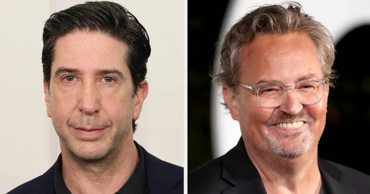 David Schwimmer Surprised By Matthew Perry's Acting Compliment