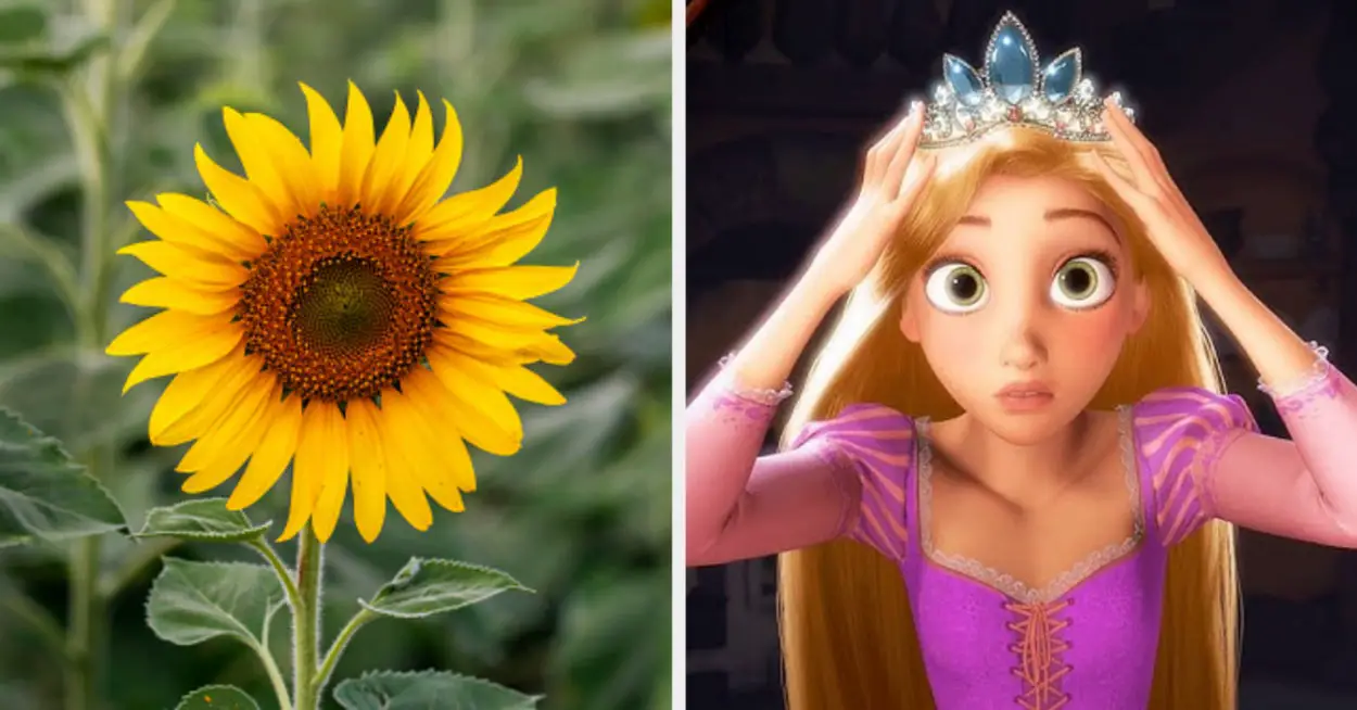 Design Your Own Bouquet And I'll Unveil Which Disney Princess You Are