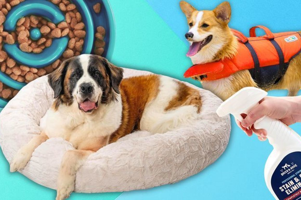 Each Of These Dog Items Have Over 15,000 5-Star Ratings