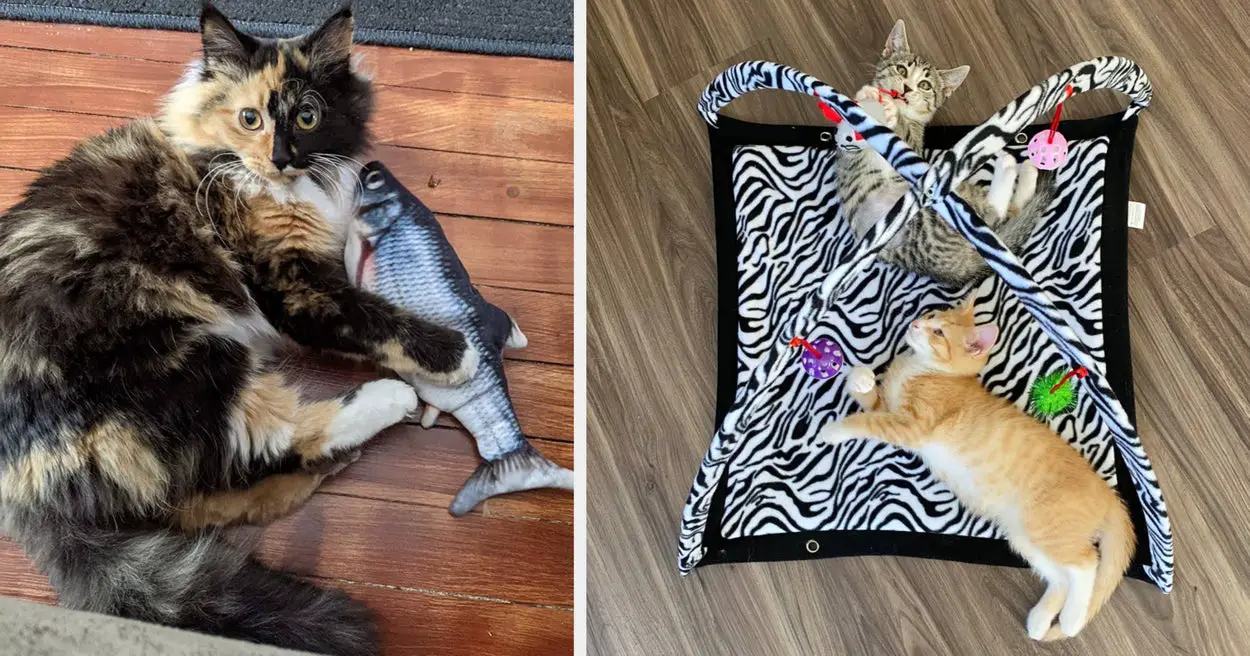 If Your Cat Is So Clingy You Can’t Go To The Bathroom By Yourself, These Attention-Grabbing Toys Are Worth A Shot