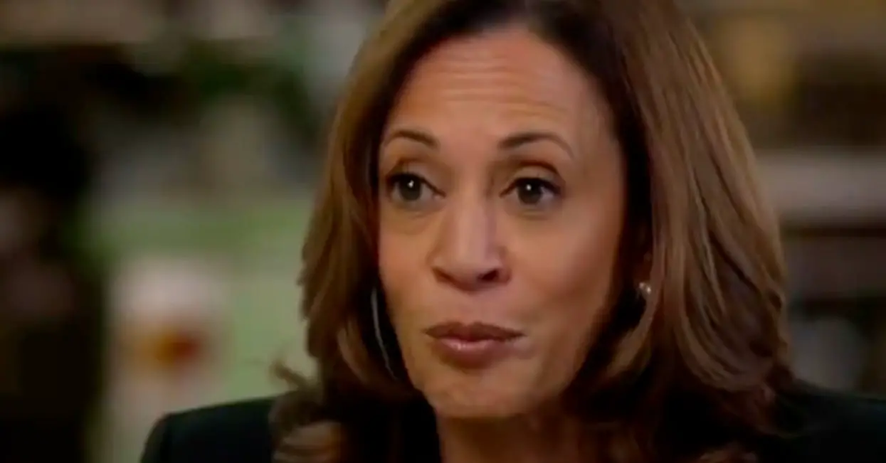 Kamala Harris Very Subtly Insulted Donald Trump's Rallies Again