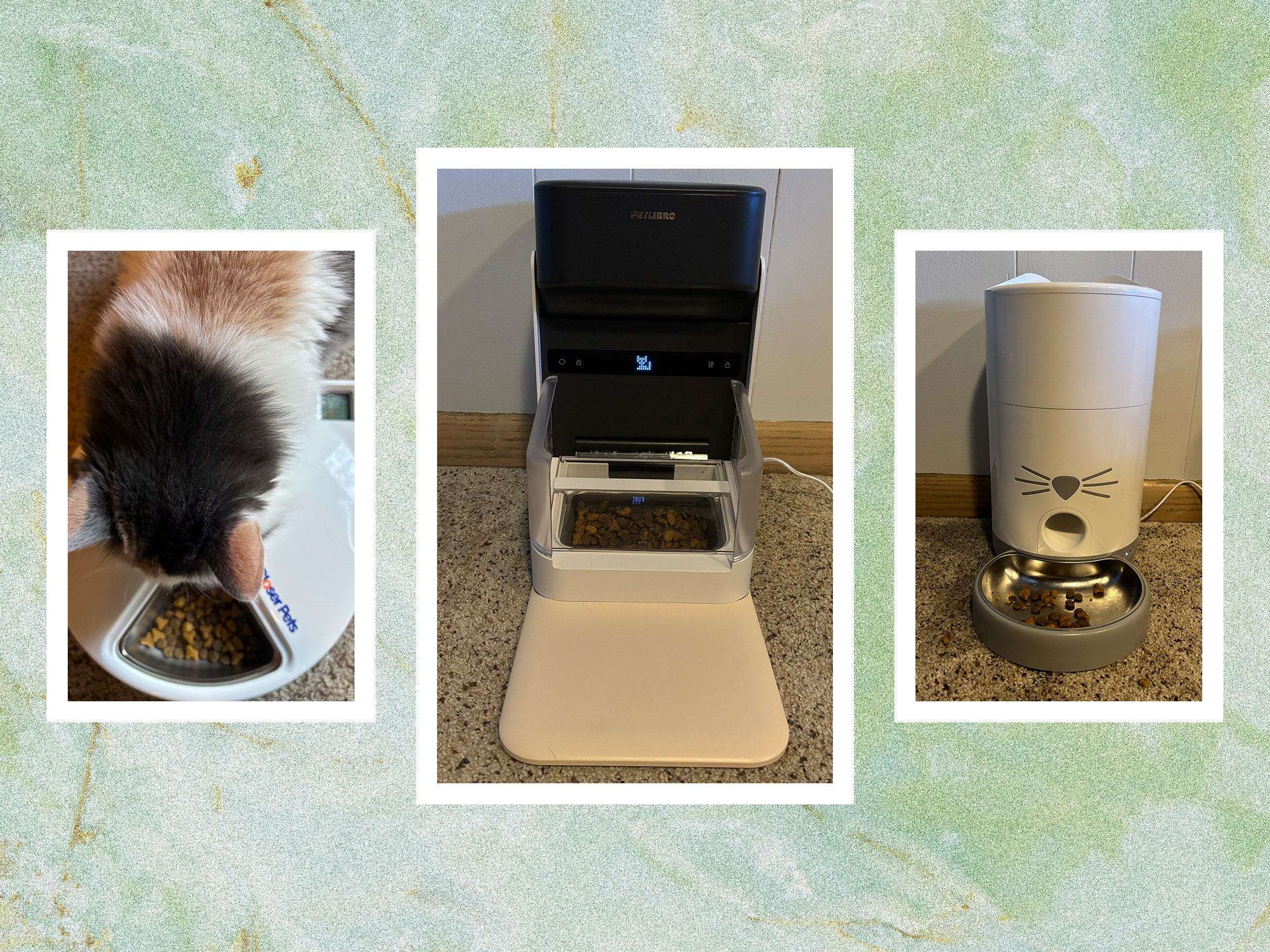 these-5-automatic-cat-feeders-were-the-best-we-tested