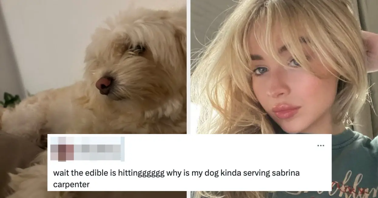 22 Of The Funniest Pet Tweets On The Internet To Start Your Week