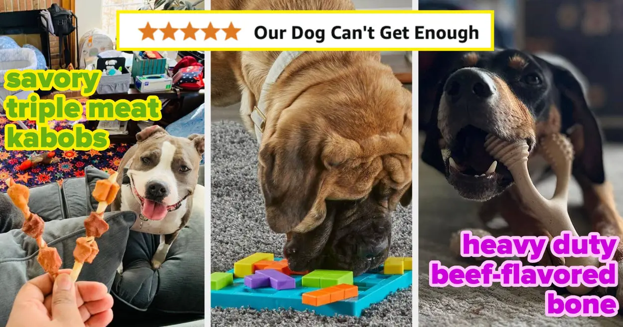 27 Products Reviewers' Dogs Can't Get Enough Of