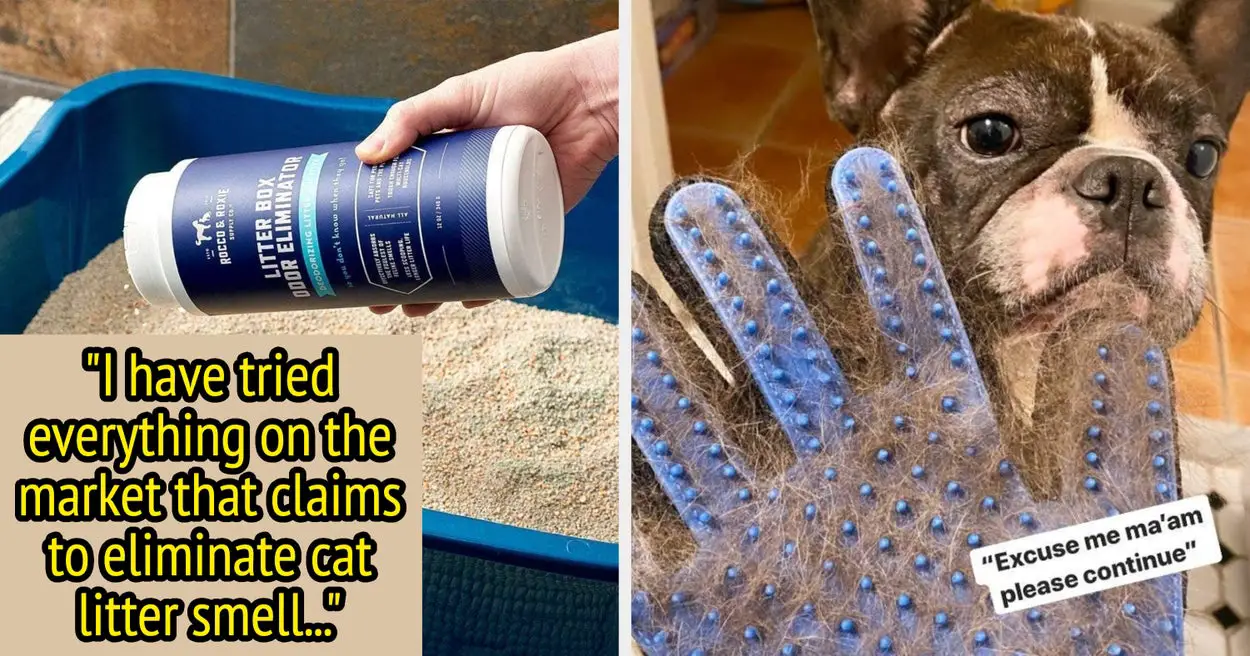 29 Innovative Pet Solutions When All Else Fails