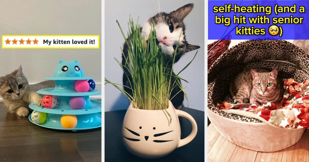 46 Cat Products That'll Bring Them Pure Happiness