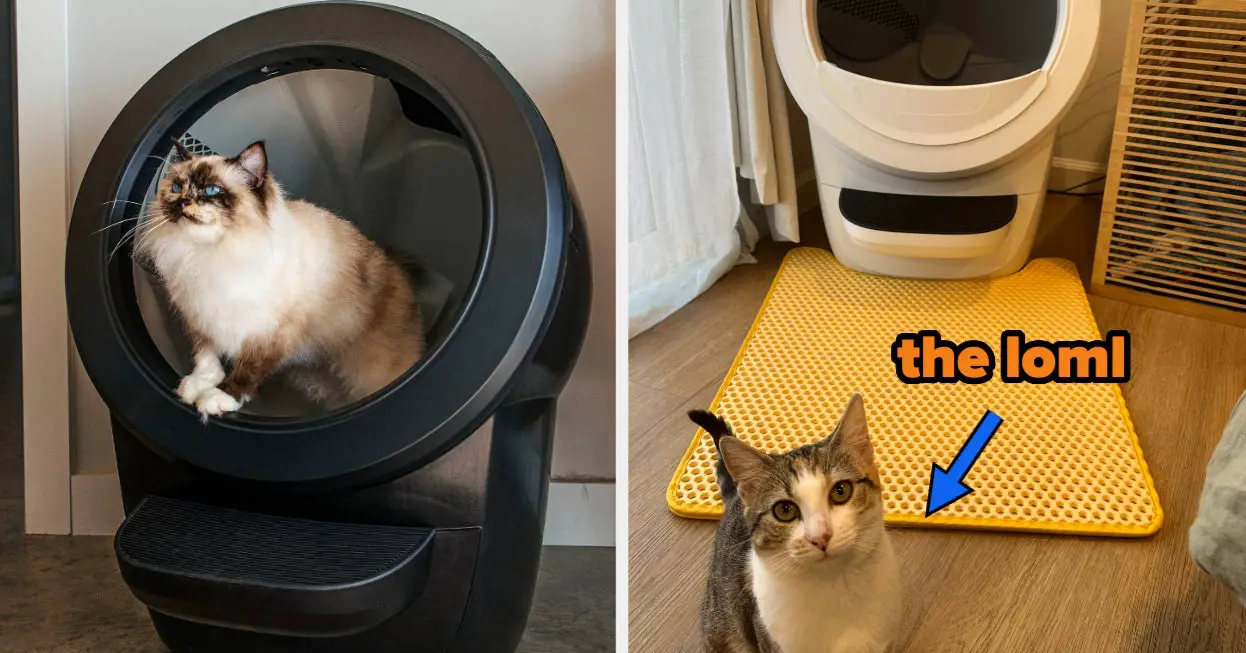 I Tried The Litter Robot Everyone's Talking About, And Love It