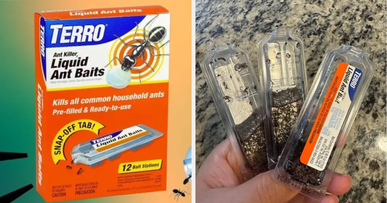 This Ant Trap Has Been Reviewed Over 167,000 Times. Here’s Why People Are Obsessed.