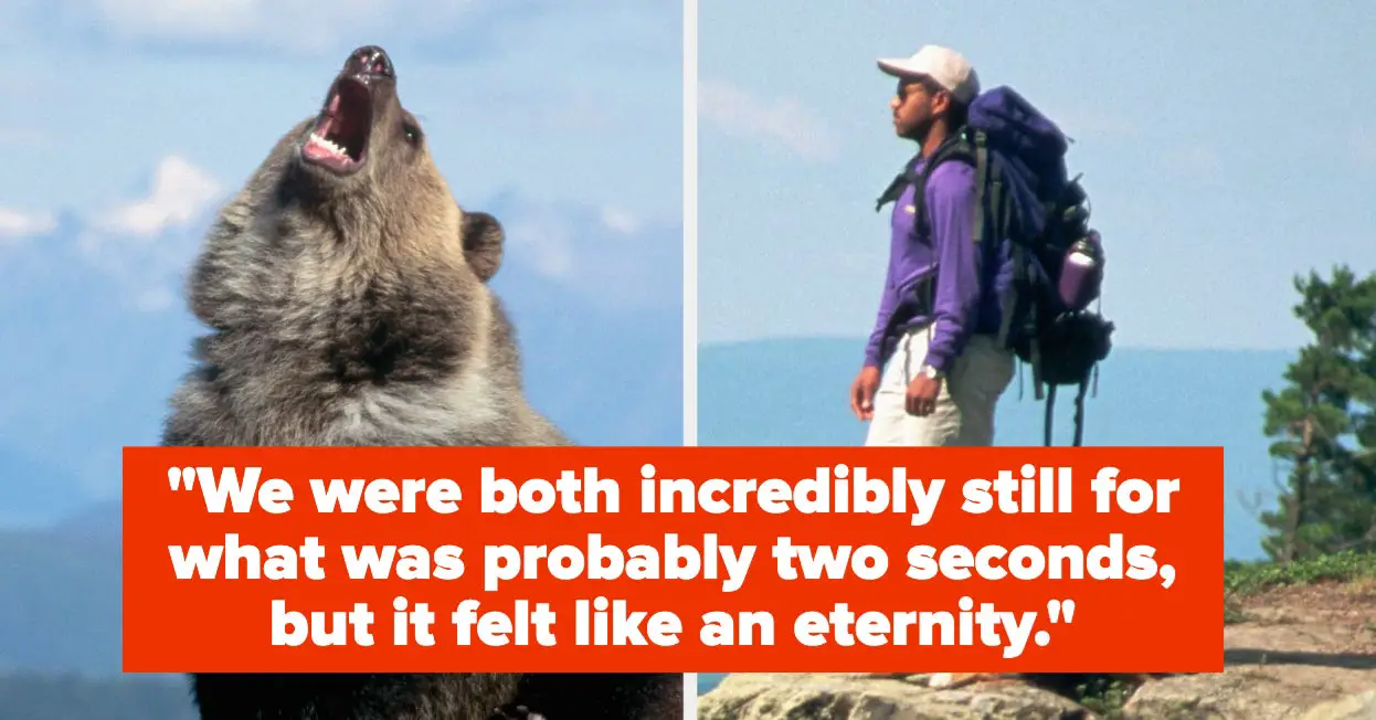 This Man Survived A Grizzly Bear Attack. Here's How.