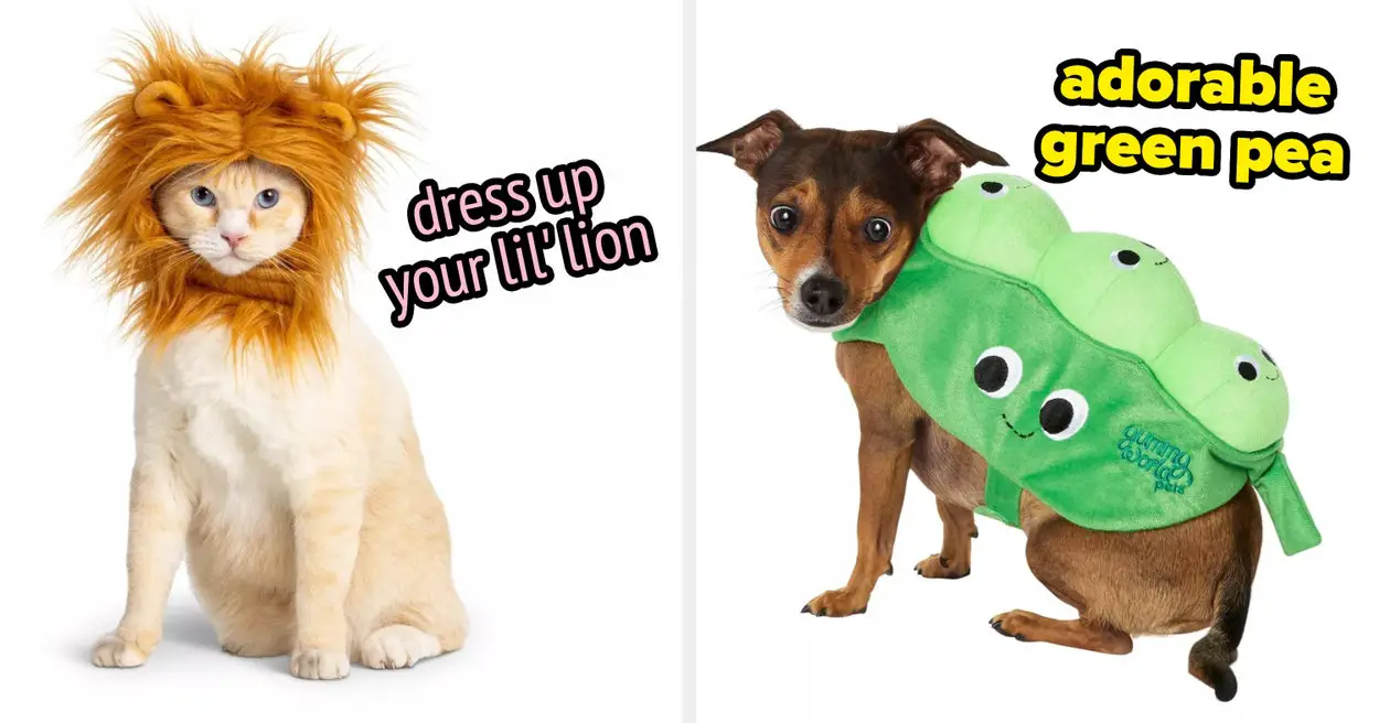 Top 20 Pet Halloween Costumes from PetSmart